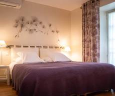 Hôtel du Vieux Pont