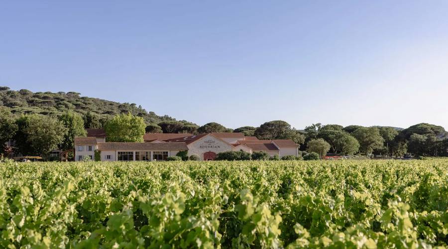 Domaine du Bourrian