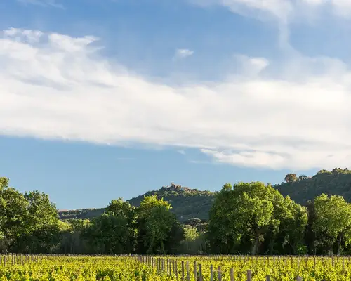 Domaine Bertaud-Belieu