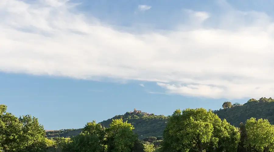 Domaine Bertaud-Belieu