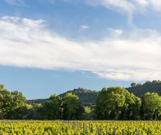 Domaine Bertaud-Belieu