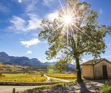 Les cabanons de vigne