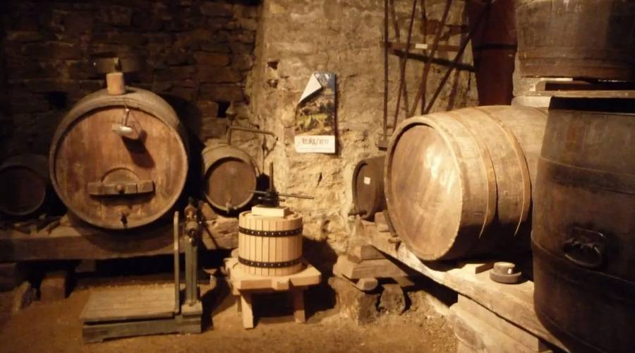 Musée de la Vigne et du Vin
