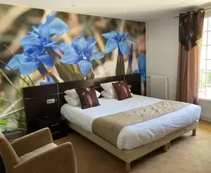 image de l'activité Hôtel Le Bellevue