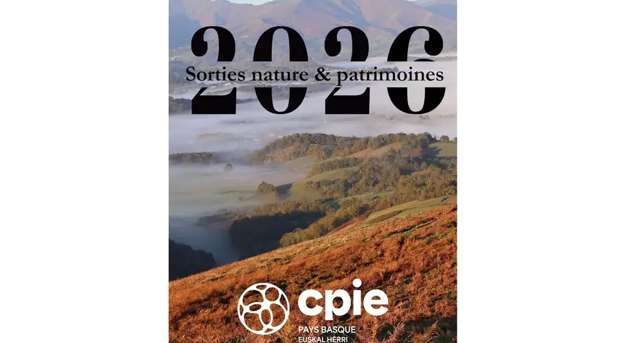 Sortie nature CPIE Pays Basque : "L'envol de la chauve-souris"