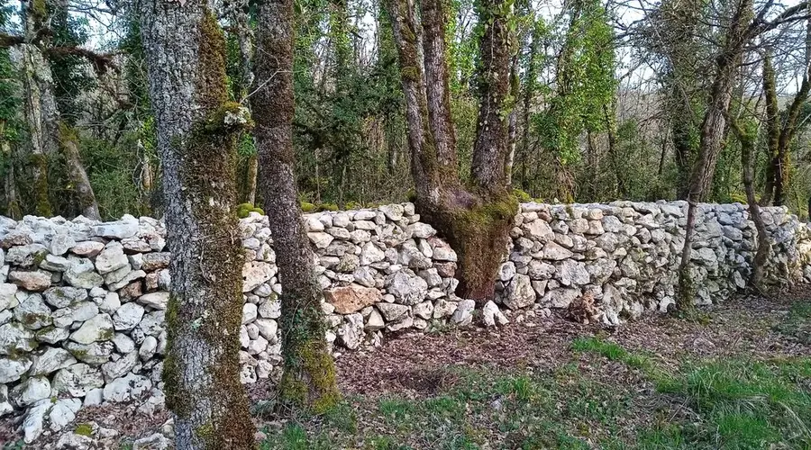 Chantier muret en pierres sèches