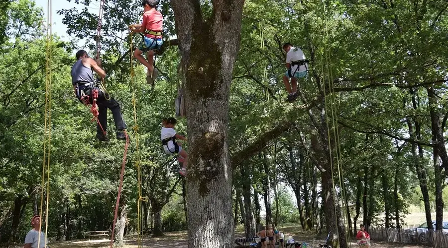 Été actif : Grimpe d'arbres